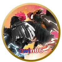 cwin06